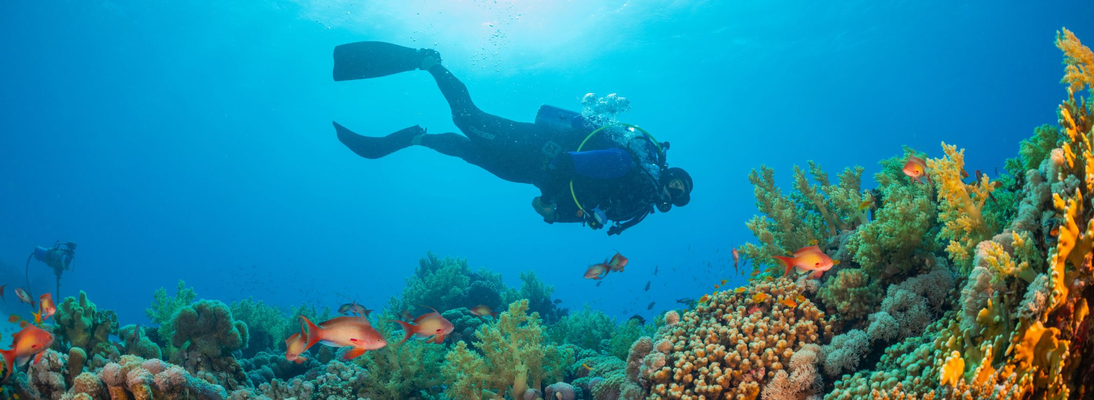 Why do we need reef-safe sunscreens?